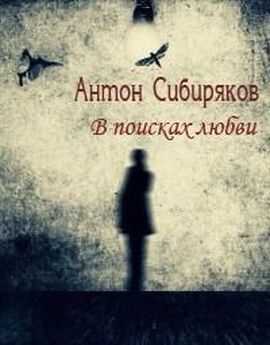 Антон Сибиряков - Падение вверх