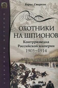 Борис Миронов - Страсти по революции: Нравы в российской историографии в век информации