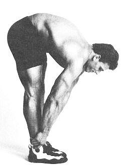 Цель упражнения Растяжка подколенных сухожилий и мышц нижней части спины - фото 7