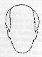 Голова еврея часто несимметрична Она уширена в верхней части и по форме - фото 5