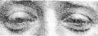 Тип глаз схожий с предыдущим Отличается хорошо обозначенными нижним и верхним - фото 114