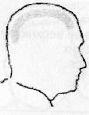 При виде сбоку голова славяноруса выглядит посаженной прямо Контур верхней - фото 17