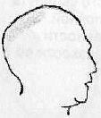 Контур верхней части головы еврея при виде в профиль имеет чётко выделенный - фото 19