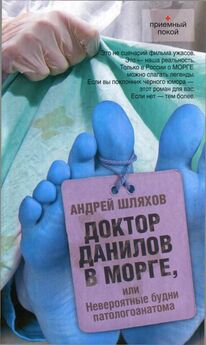 Андрей Шляхов - Доктор Данилов в дурдоме или Страшная история со счастливым концом