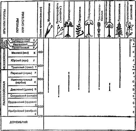 Рис 1 Геохронологическая шкала эр групп и периодов систем линиями - фото 2