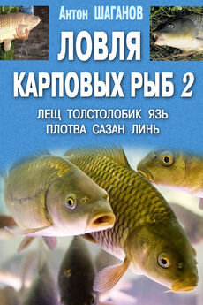 Антон Шаганов - Ловля карповых рыб