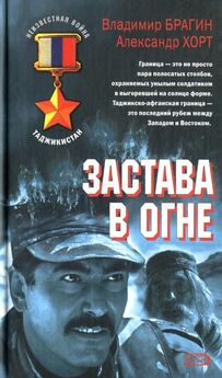 Владимир Брагин - Застава в огне