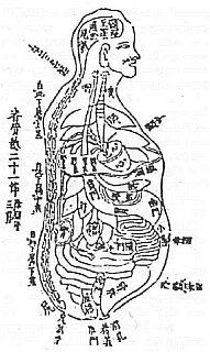 Анатомия человеческого тела по Саньцай тухуэй Мастера дзюдзюцу эпохи Эдо - фото 1