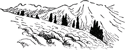 Вершины елей местами выглядывают изза хребтиков С берега озера горы с - фото 4