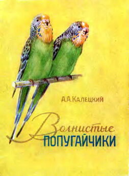 Е. Виноградова - Волнистые попугайчики