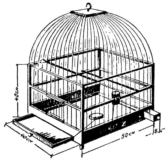 Рис 1 Клетка для волнистых попугайчиков Дно клетки покрывают тонким слоем - фото 1