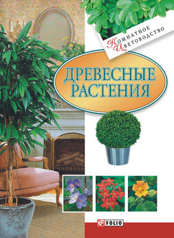 Илья Мельников - Виды миниатюрных деревьев для вашего сада