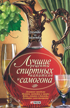 Николай Звонарев - Домашние слабоалкогольные напитки. Медовуха, пиво, игристые вина, сидр…