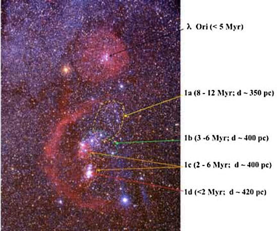 Следующий эпизод звёздообразования охватил подгруппы Ori OB1b Пояс Ориона и - фото 1