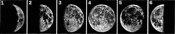 Рис 15 Фотографии Луны в различных фазах 1 молодая Луна лунный серп - фото 6