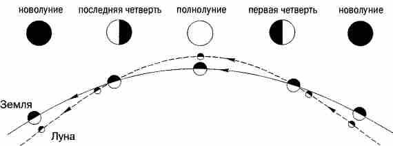 Рис 16 Последовательные положения Земли и Луны на своих орбитах и - фото 7