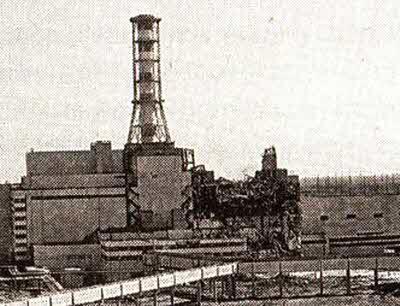 Чернобыль травянистое растение один из видов рода полынь Биологический - фото 3