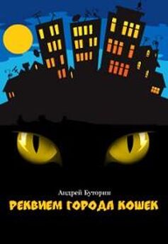 Андрей Буторин - Кошмары города кошек. Кошмар второй: Призрак города кошек