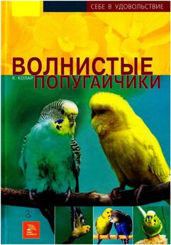 Е. Виноградова - Волнистые попугайчики