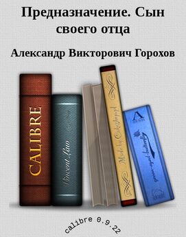 Александр Замалеев - Лекции по истории русской философии