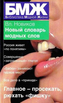 Владимир Новиков - Новый словарь модных слов