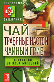 Геннадий Гарбузов - Чайный и тибетский гриб: лечение и очищение