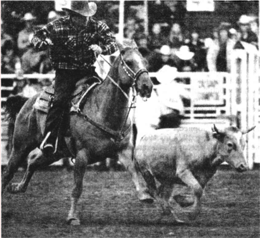 Родео Cowboys коровьи мальчики были совсем не такими молодцами как обычно - фото 3