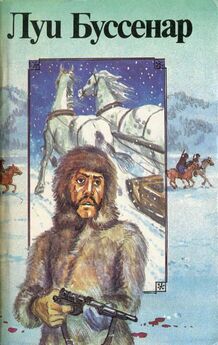 Луи Буссенар - Французы на Северном полюсе