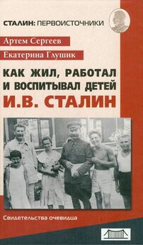Владимир Аллилуев - Сталин – Аллилуевы. Хроника одной семьи