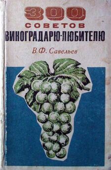 В. Савельев - 300 советов виноградарю-любителю