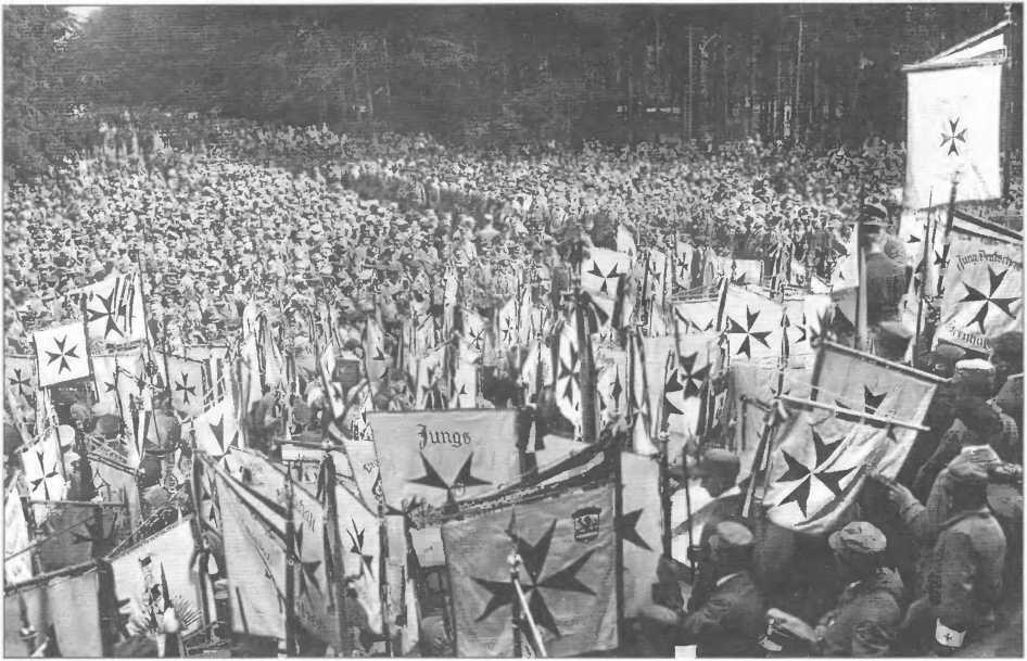 Флаги движения Немецкий порядок одной из первых националистических - фото 6
