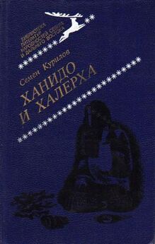 Петр Краснов - Заполье. Книга вторая