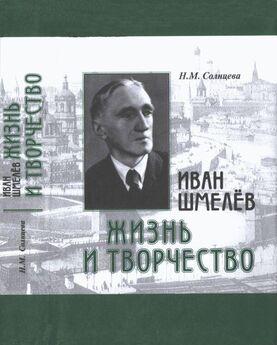 Николай Шмелев - С малых высот