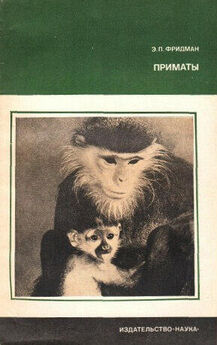 Станислав Дробышевский - Шанс для приматов