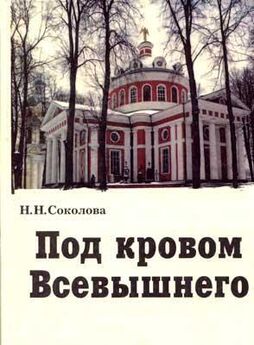 Дмитрий Авдеев - Православная психотерапия
