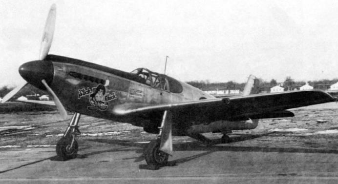P51A Slick Chick был вторым серийным самолетом Его орудийные порты закрыты - фото 52