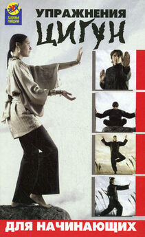 Чжао Цзиньсян - Китайский цигун - стиль Парящий журавль