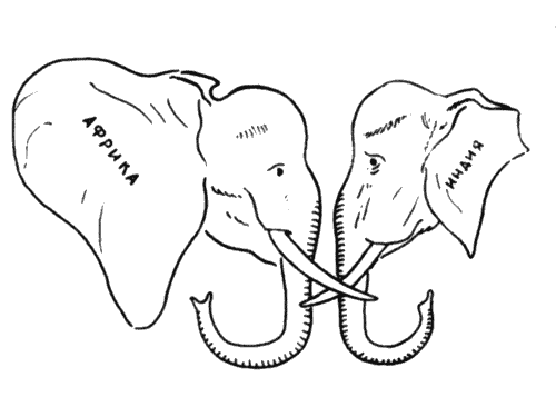 Слоны слышат также хорошо но их хороший слух не определяется громадной - фото 5
