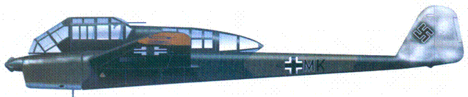 Fw189A1 из 211 13 Самолет несет остатки зимнего камуфляжа нижние - фото 149