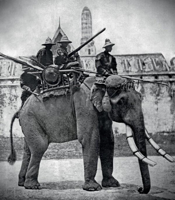Боевой слон армии сиамского короля Рамы IV Фотография 1860х годов Фото - фото 4