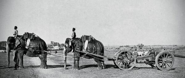 Караван слонов перевозит орудия Британской Индийской армии Полутоновой оттиск - фото 6