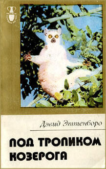 Александр Дюма - История моих животных