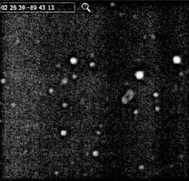 Объект 02 26 398943 13 с интерактивной карты звёздного неба Skymaporg - фото 3