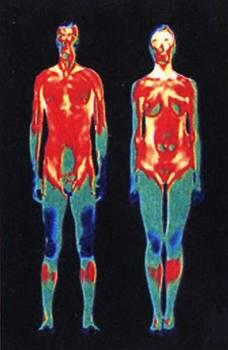 Полные термограммы мужчины и женщины Основу его составляет очень точный - фото 3