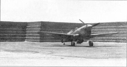 P40F на базе Северная Африка ноябрьдекабрь 1942 года Обратите внимание ни - фото 2