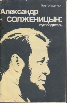 М Николсон - Солженицын на мифотворческом фоне