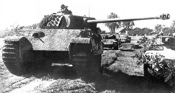 Пантеры Ausf G из 5й танковой дивизии СС Викинг выдвигаются на передний - фото 18