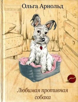 Денис Дудинский - Самые распространенные заблуждения о собаках