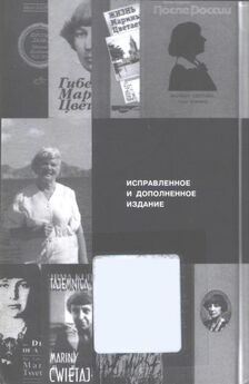 Ирина Шевеленко - Литературный путь Цветаевой. Идеология, поэтика, идентичность автора в контексте эпохи