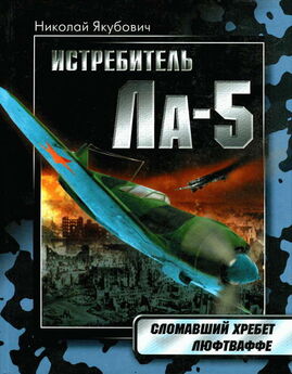 Михаил Маслов - Истребитель И-153 «Чайка»